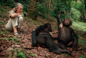 01-jane-gombe-chimp-study-scaled