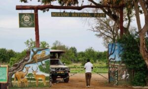1-Day-Trip-Mikumi-National-Park-1-750x450