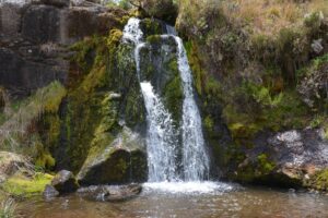 Kitulo_National_Park_Mwakipembo_Waterfalls_51