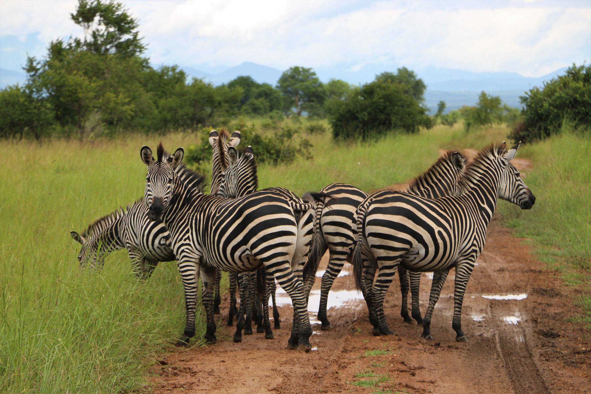 Mkomazi