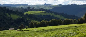 Mufindi-landscape (2)