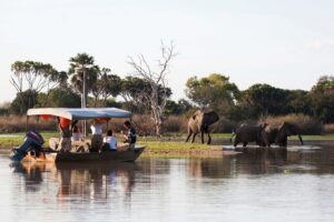 boat_safari_selous (3)