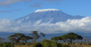cropMount-Kilimanjaro